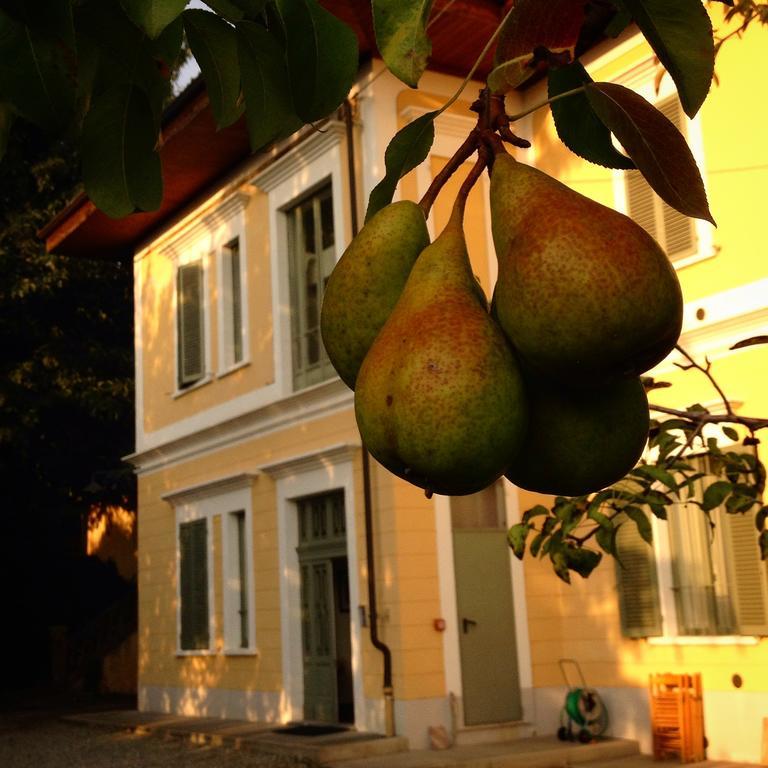 Villa D'Azeglio Albiano dʼIvrea Eksteriør billede