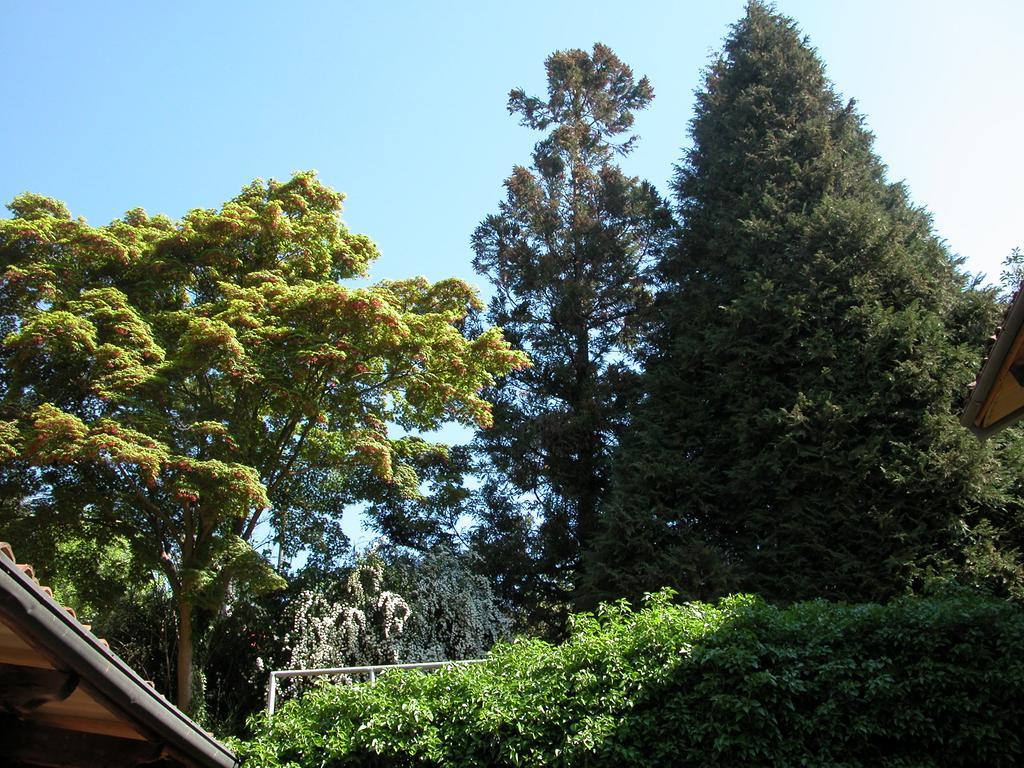 Villa D'Azeglio Albiano dʼIvrea Eksteriør billede