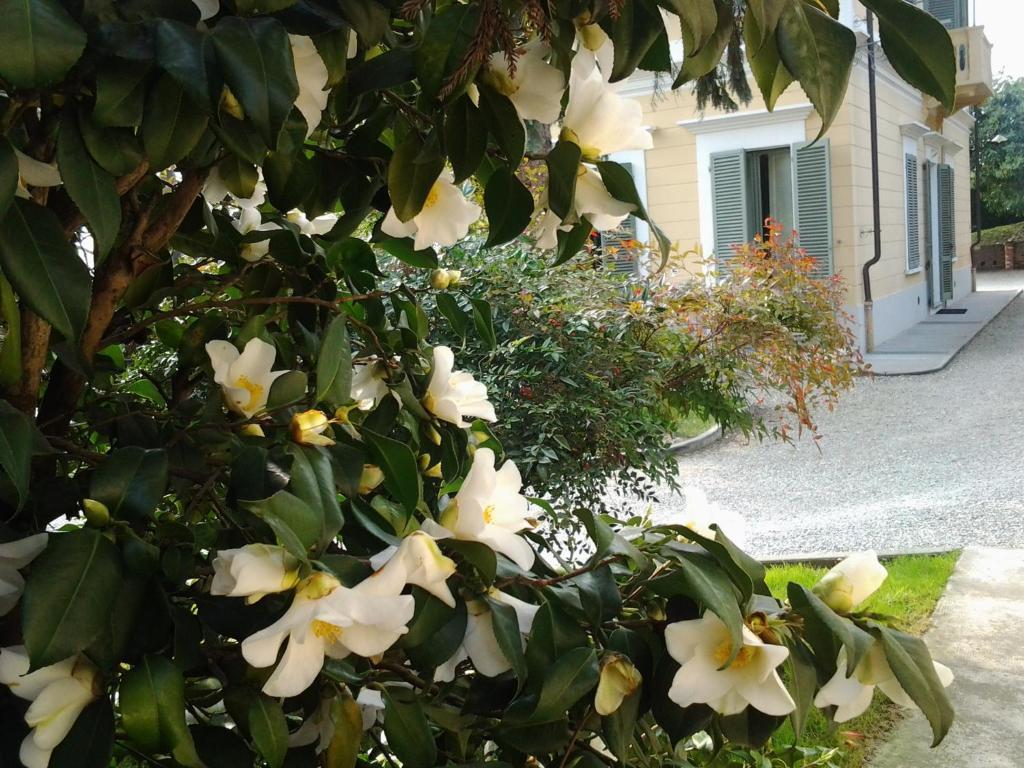 Villa D'Azeglio Albiano dʼIvrea Eksteriør billede
