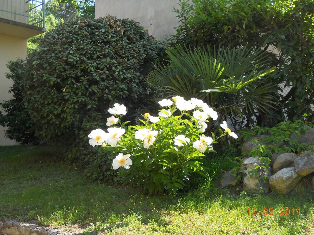 Villa D'Azeglio Albiano dʼIvrea Eksteriør billede